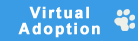 Virtual Adoption